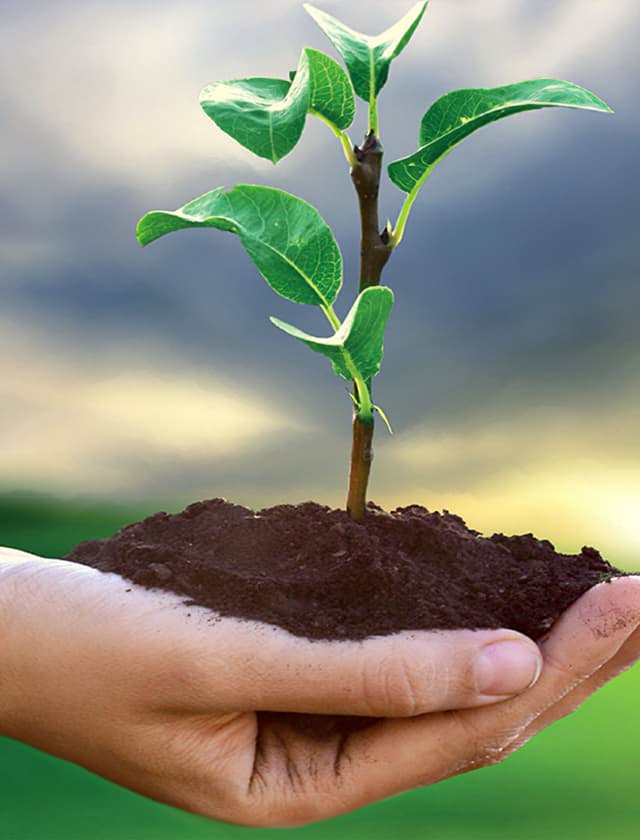 Compromiso Medioambiental Nuestro compromiso con el medio ambiente